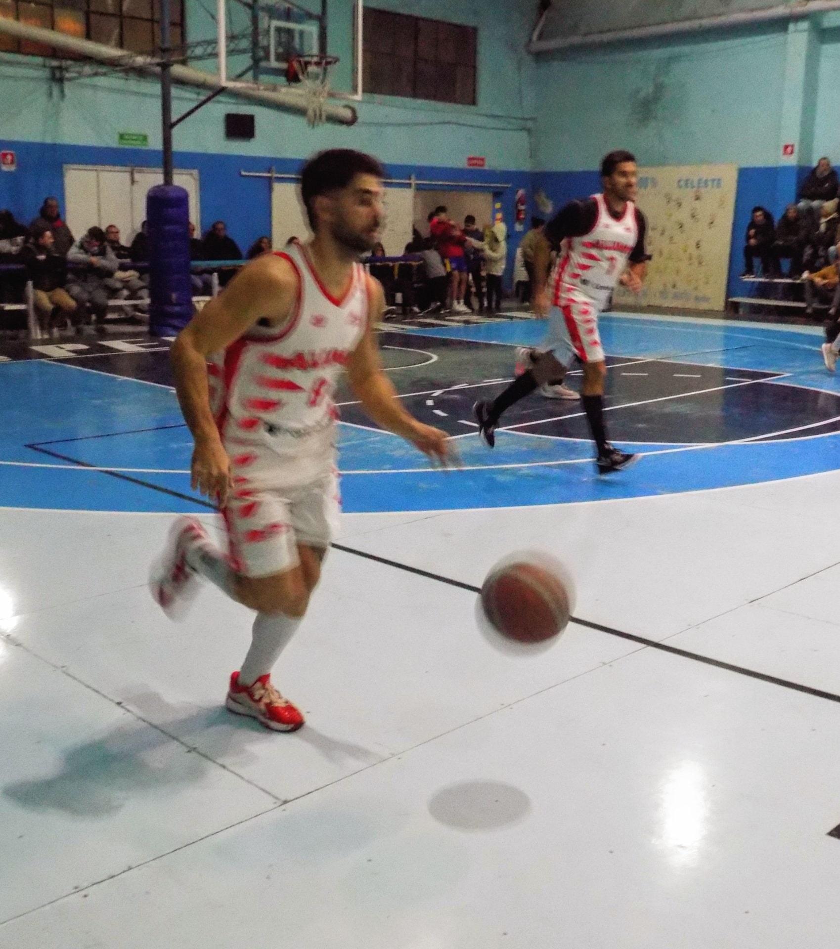 Básquet Provincial: Alumni juega por la 2ª fecha