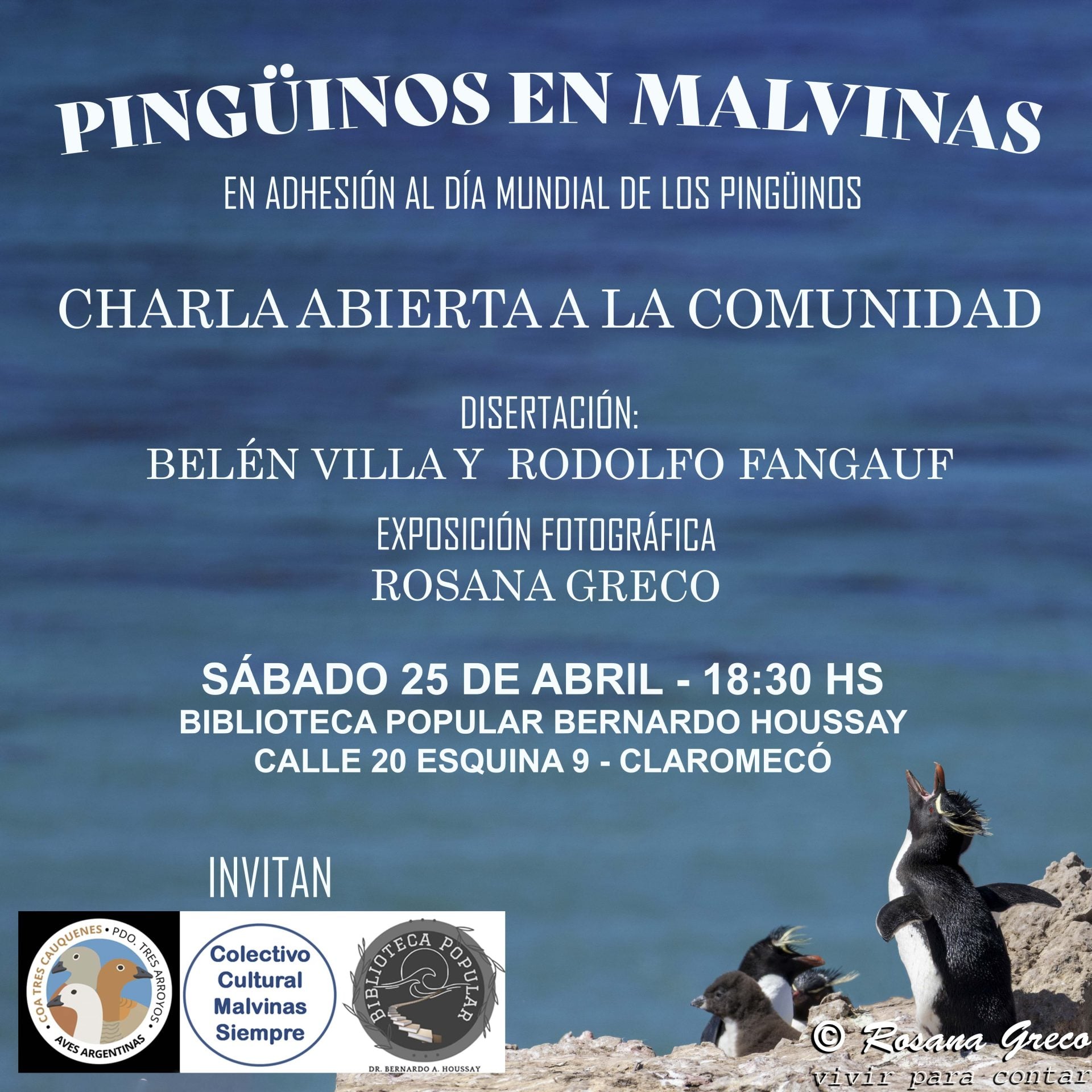 Claromecó: Exposición fotográfica Día Mundial de los Pingüinos