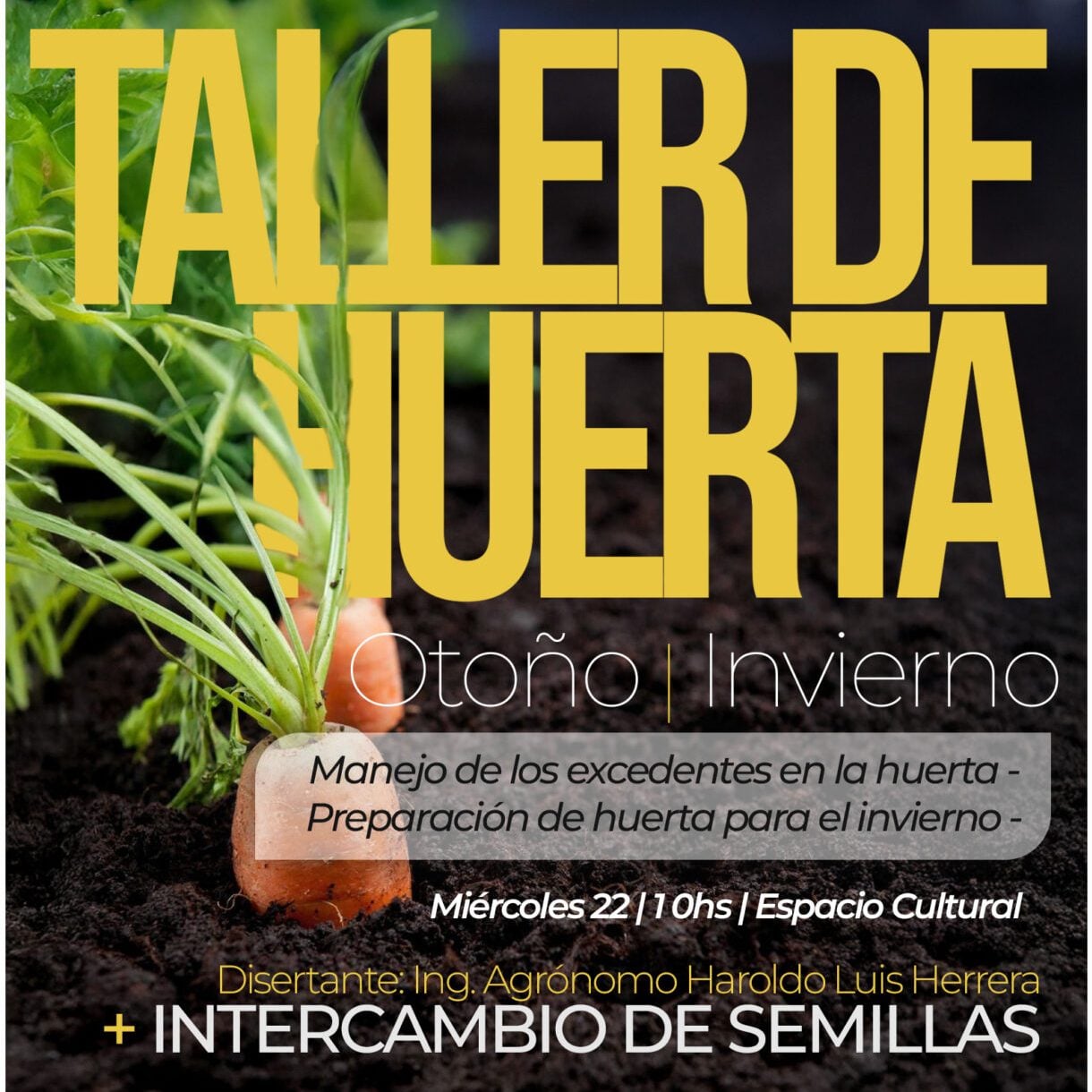 San Cayetano: Taller de Huerta con intercambio de semillas