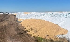 Dañaron cinco silobolsas en un predio sobre la Ruta 51