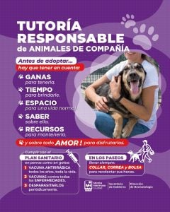 Monte Hermoso: Recomendaciones para adoptar en el Día del Animal