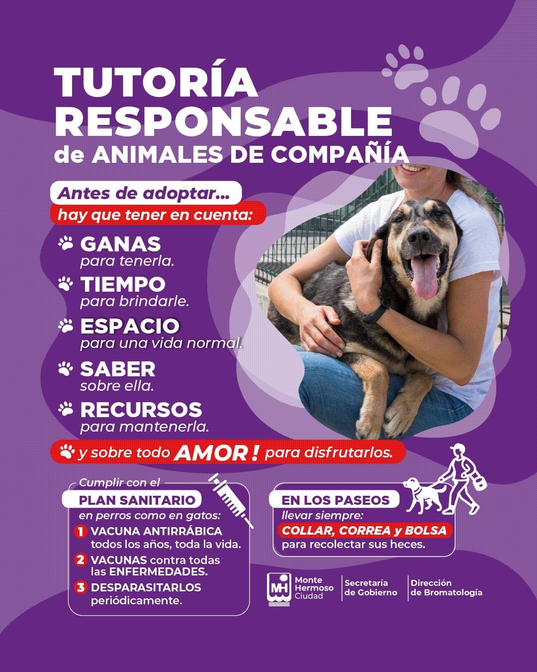 Monte Hermoso: Recomendaciones para adoptar en el Día del Animal