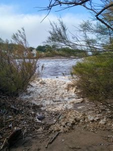 Imágenes y videos del temporal en el distrito y la zona