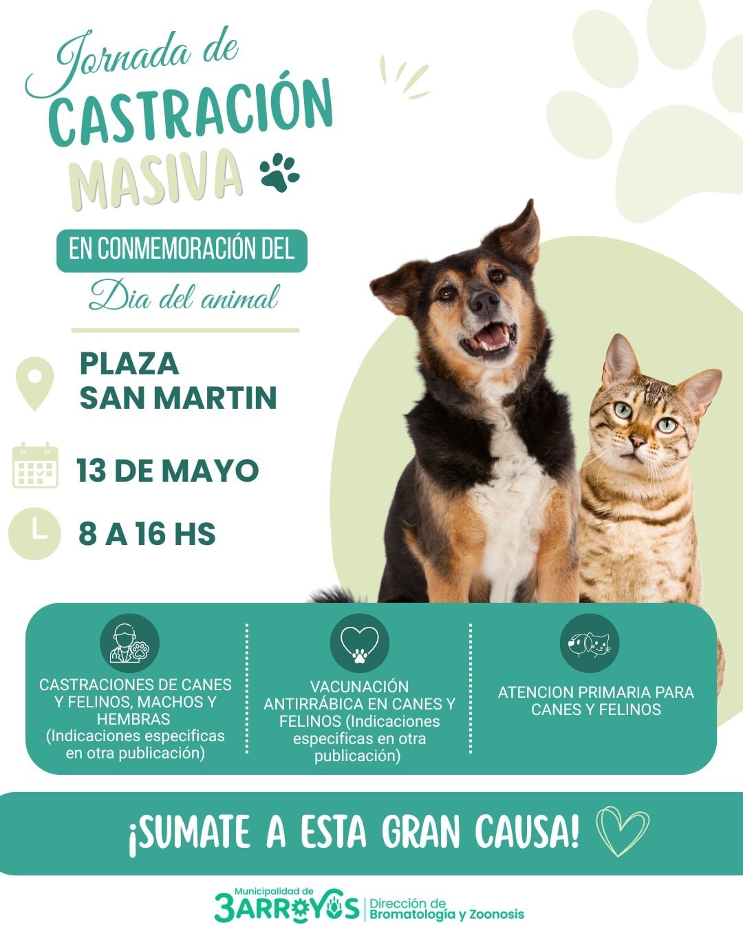 (audio) La ciudad celebra el Día del Animal con una jornada masiva de castración y vacunación