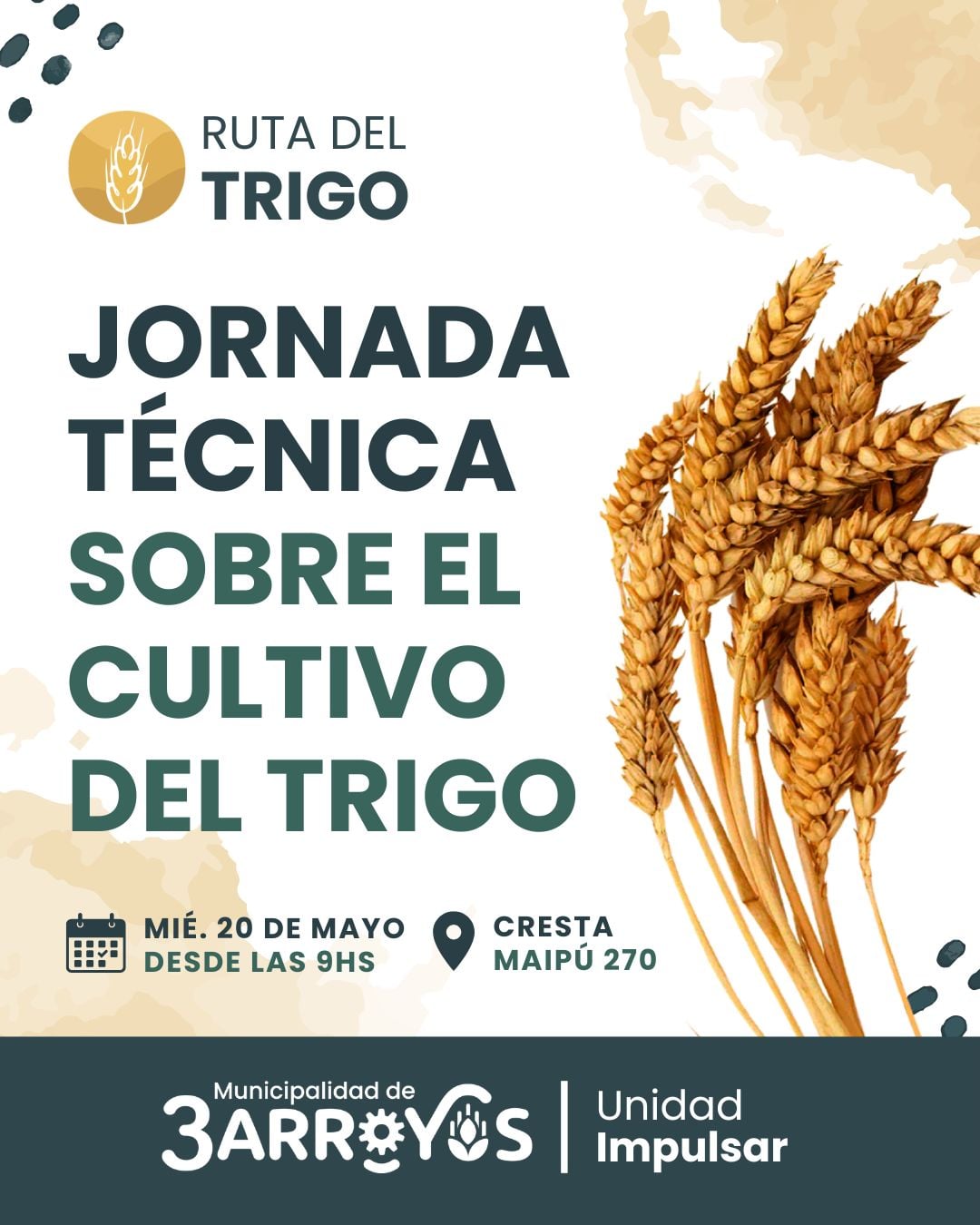 La Ruta del Trigo comienza su camino con una jornada técnica el 20