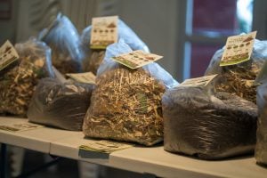 San Cayetano: se realizó el taller de compostaje a cargo de TACO Tres Arroyos Composta