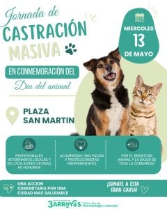 Jornada de castraciones masivas en Plaza San Martín