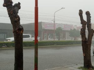 (videos) Llovieron más de 60 mm. en una hora y media en Tres Arroyos