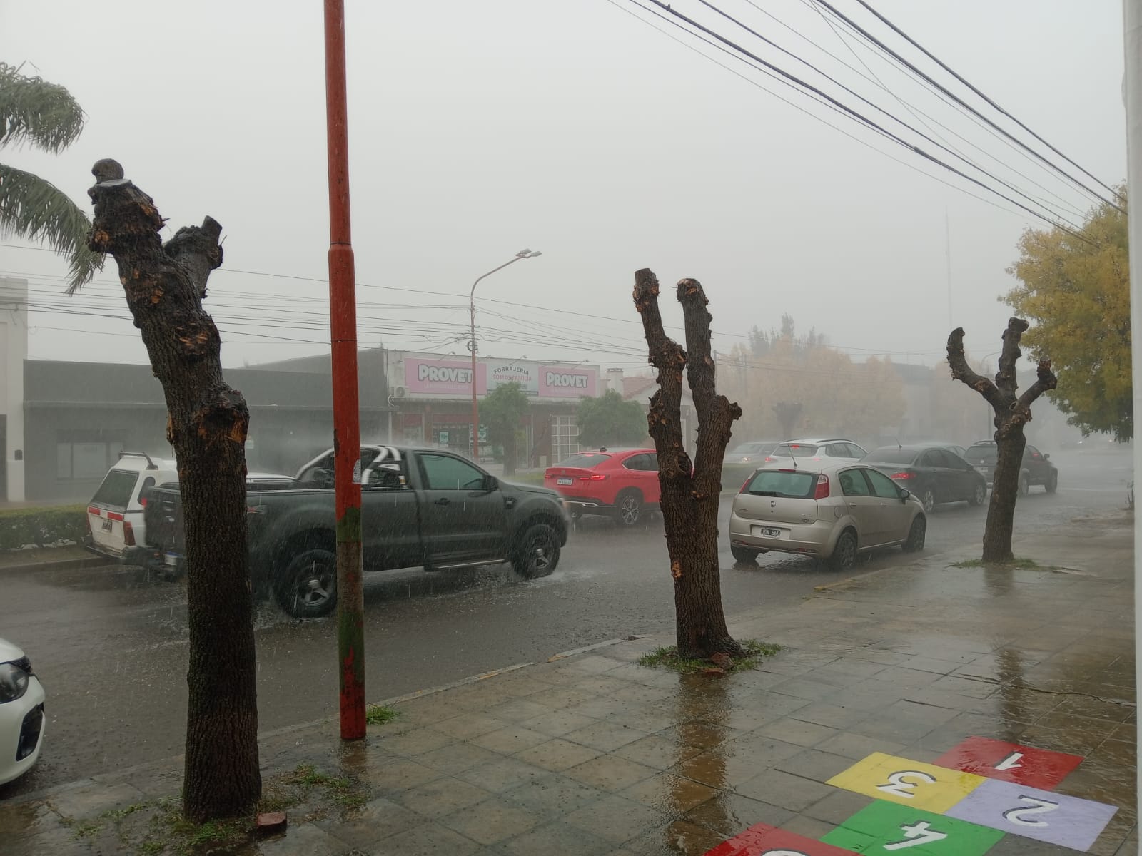 (videos) Llovieron más de 60 mm. en una hora y media en Tres Arroyos