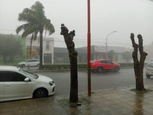 (videos) Llovieron más de 60 mm. en una hora y media en Tres Arroyos