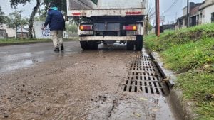 Las Cuadrillas municipales continúan trabajando en distintos puntos de la ciudad tras el temporal