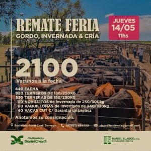 (audio) Gran remate en Coronel Dorrego: se esperan más de 2.000 cabezas