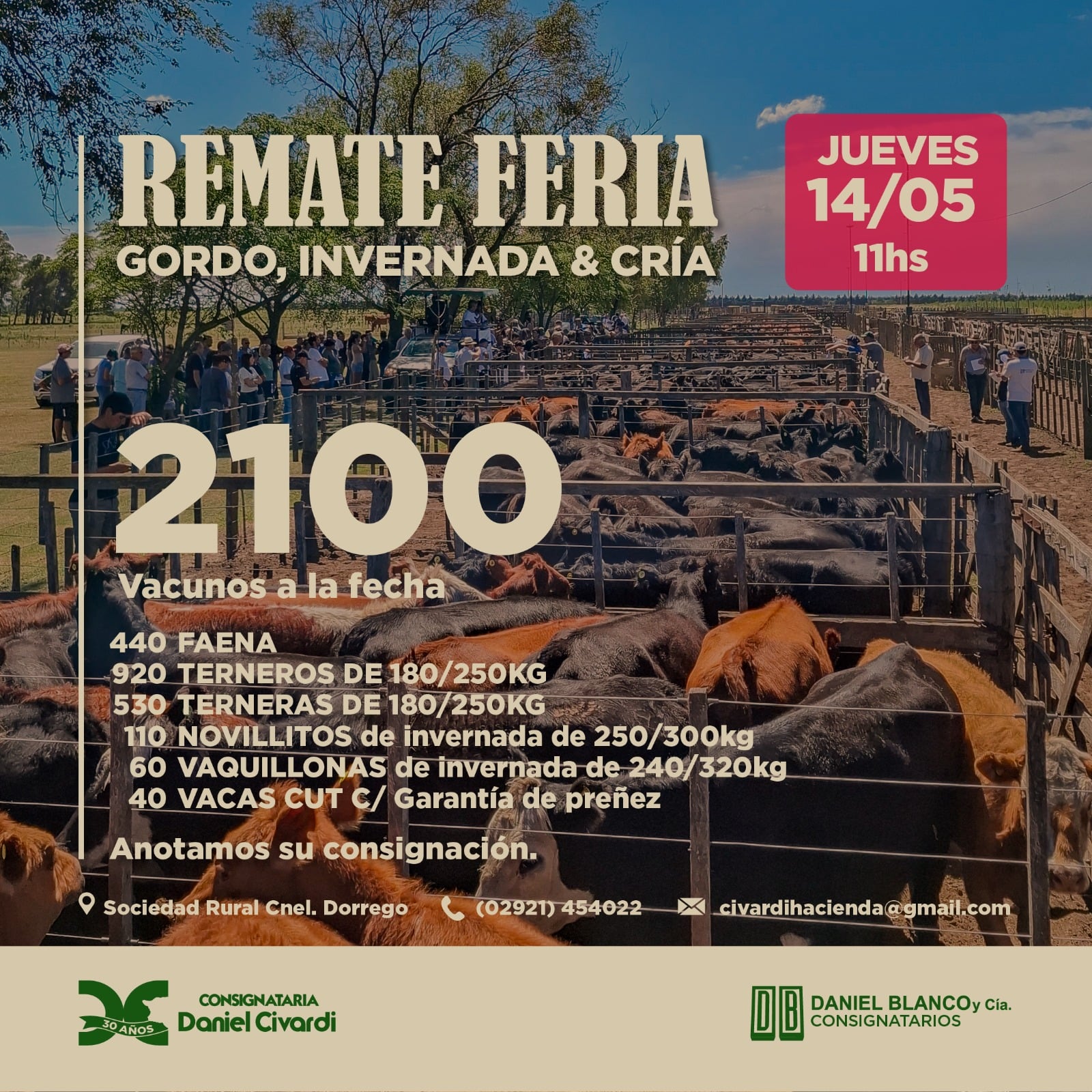 (audio) Gran remate en Coronel Dorrego: se esperan más de 2.000 cabezas