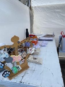 Con más de 50 castraciones, fue exitosa la jornada desarrollada en la Plaza San Martin