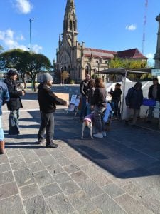 Con más de 50 castraciones, fue exitosa la jornada desarrollada en la Plaza San Martin