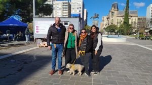 Con más de 50 castraciones, fue exitosa la jornada desarrollada en la Plaza San Martin
