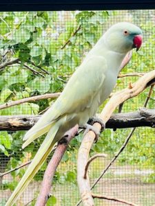 (audio) En un lugar donde no había nada, Rubén Rubiño creó un Ecoparque en San Juan