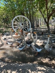 (audio) En un lugar donde no había nada, Rubén Rubiño creó un Ecoparque en San Juan