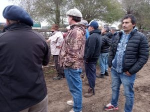 Buenos precios en el remate mensual de Arzoz & Cía.