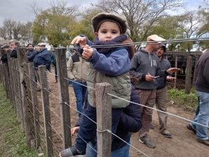 Buenos precios en el remate mensual de Arzoz & Cía.