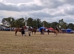 Gran acompañamiento popular al Festival Criollo en El Palenque