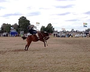 Gran acompañamiento popular al Festival Criollo en El Palenque