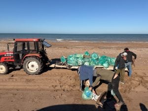 (fotos-video) Una marea solidaria: así limpiaron 15 kilómetros de playa en Monte Hermoso