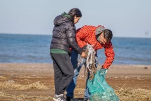 (fotos-video) Una marea solidaria: así limpiaron 15 kilómetros de playa en Monte Hermoso