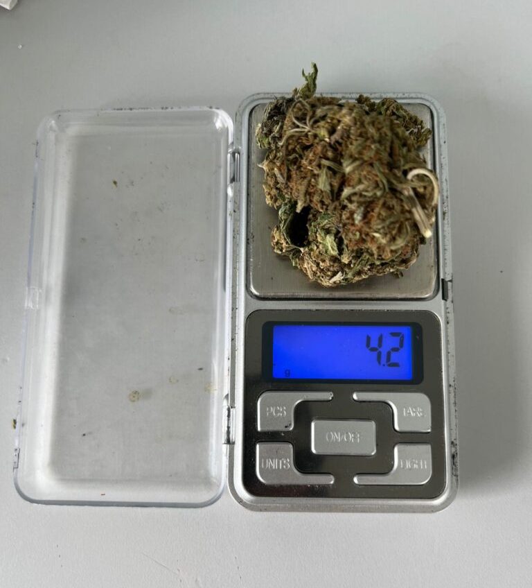 Demorados en la Rutas 228 y 75 por tenencia de marihuana