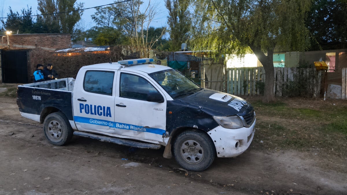 Bahía Blanca: Lo buscaban por amenazas, le encontraron una plantación de marihuana