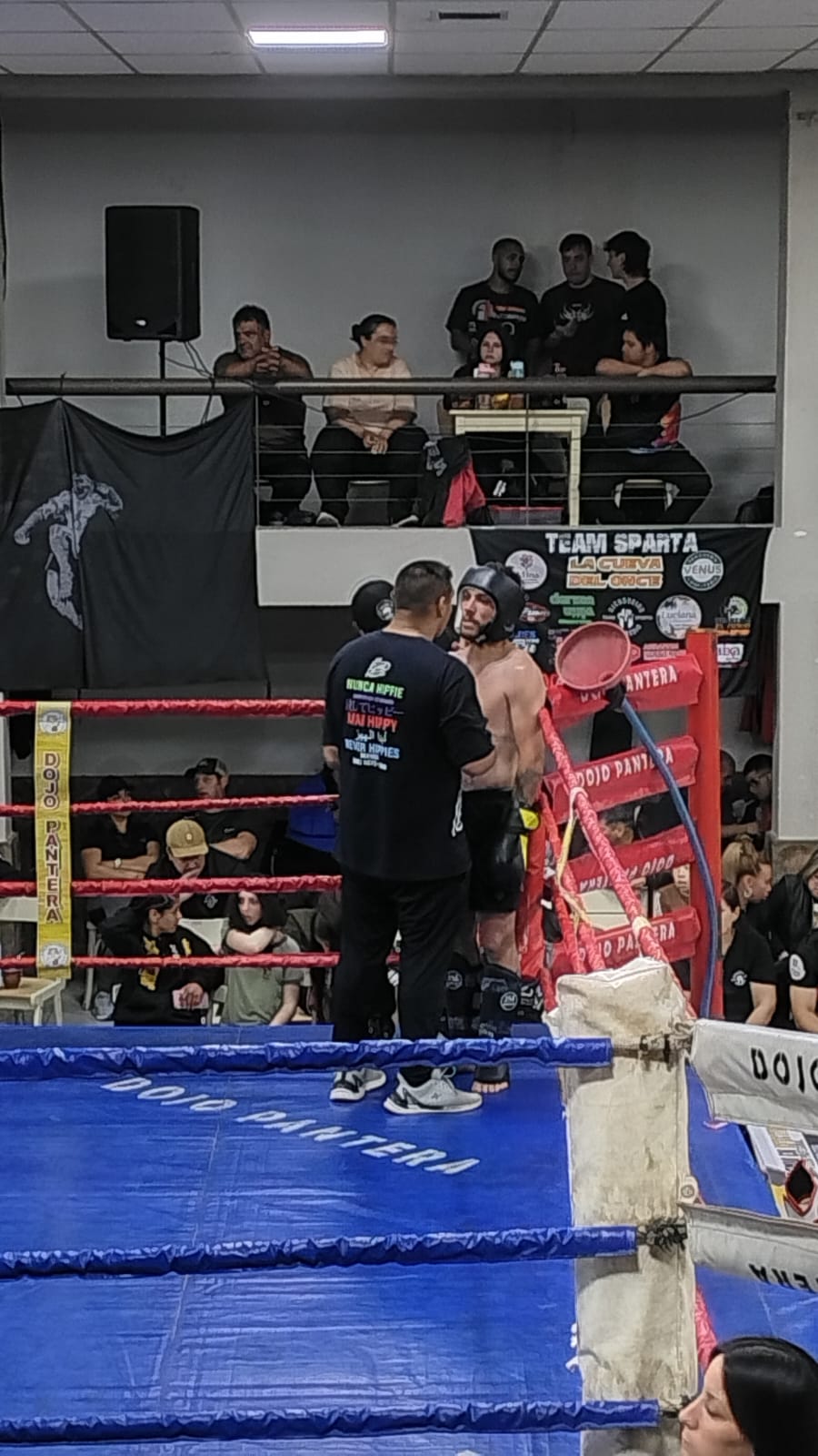 Kickboxing: El Team Apecena de Tres Arroyos brilló en el 