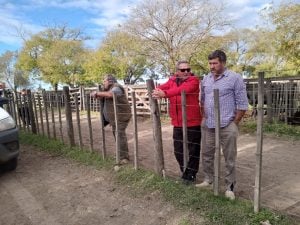 Exitoso remate de La Agrícola Ganadera en la Sociedad Rural