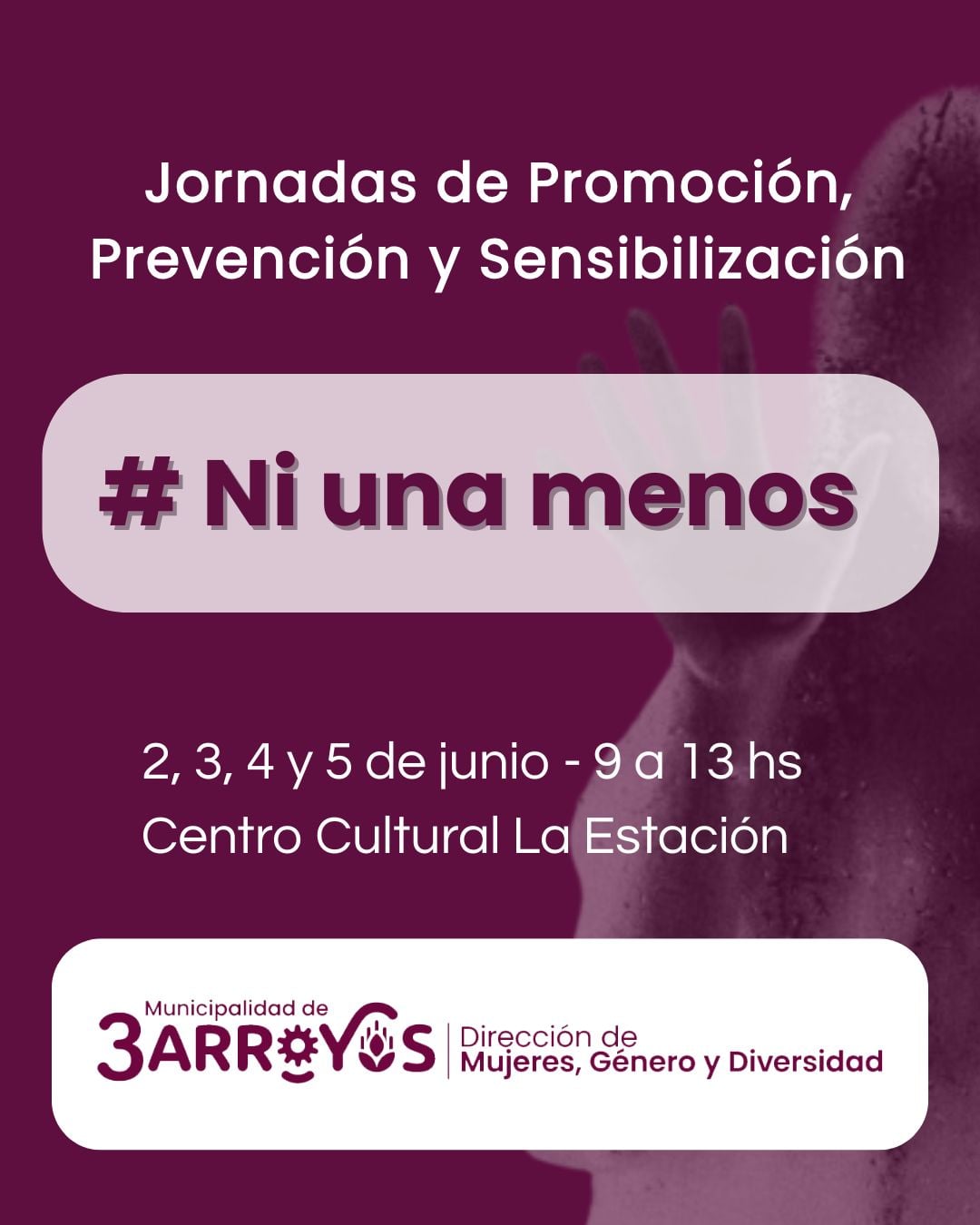 Anunciaron actividades conmemorativas por el “Ni una menos” del 3 de junio