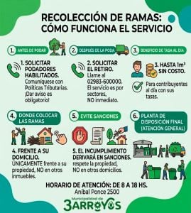 Requisitos y recomendaciones del Municipio para la poda domiciliaria