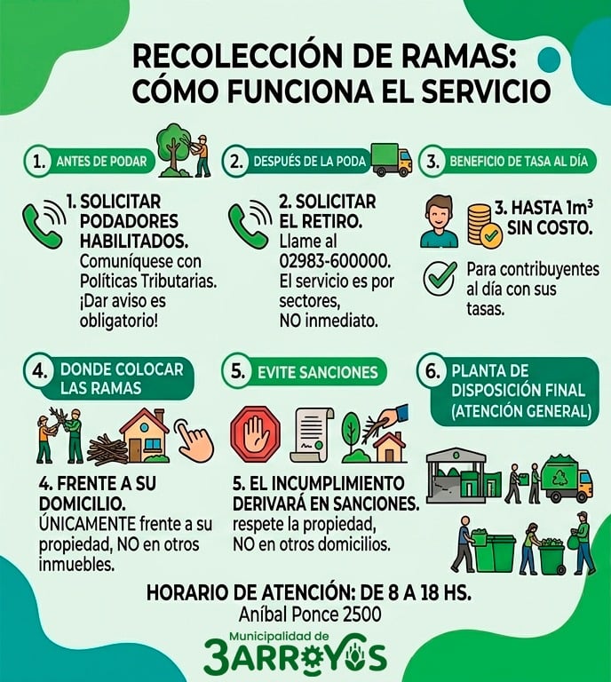 Requisitos y recomendaciones del Municipio para la poda domiciliaria