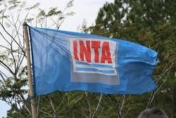 El Gobierno busca reducir 1000 puestos de trabajo en el INTA a través de retiros voluntarios