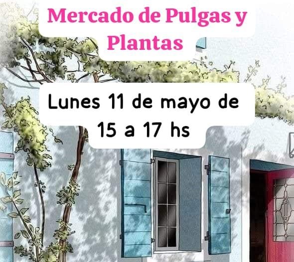 Mercado de Pulgas en la Iglesia Cristo Vive
