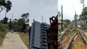 Graves destrozos por el temporal afectan a Pinamar