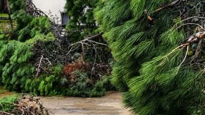 Graves destrozos por el temporal afectan a Pinamar