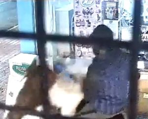 Insólito robo en Miramar: ladrones vacían kiosco y escapan a caballo