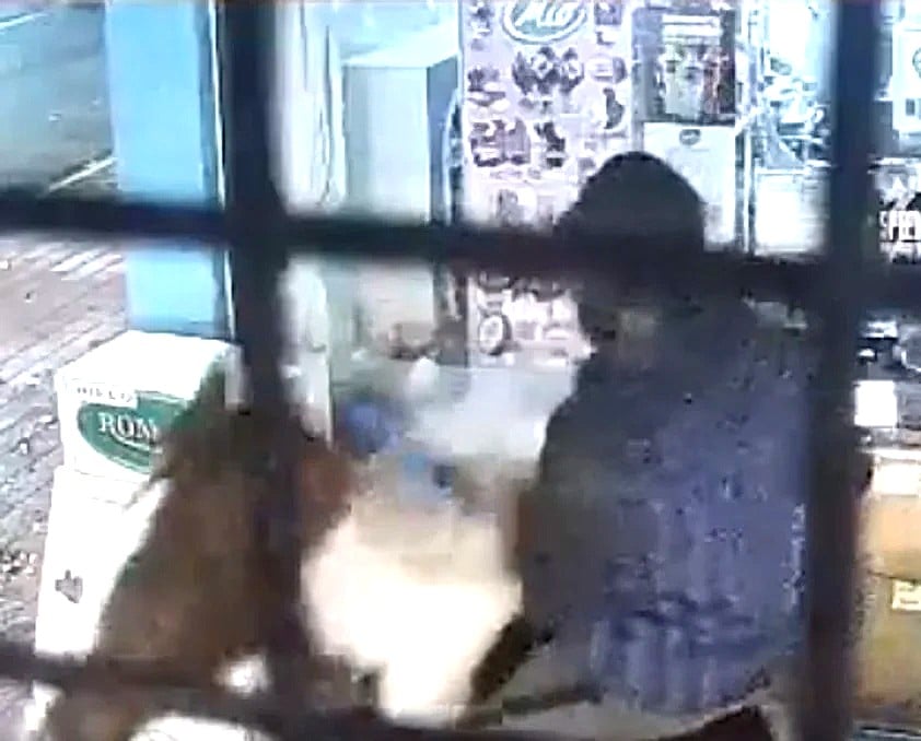 Insólito robo en Miramar: ladrones vacían kiosco y escapan a caballo