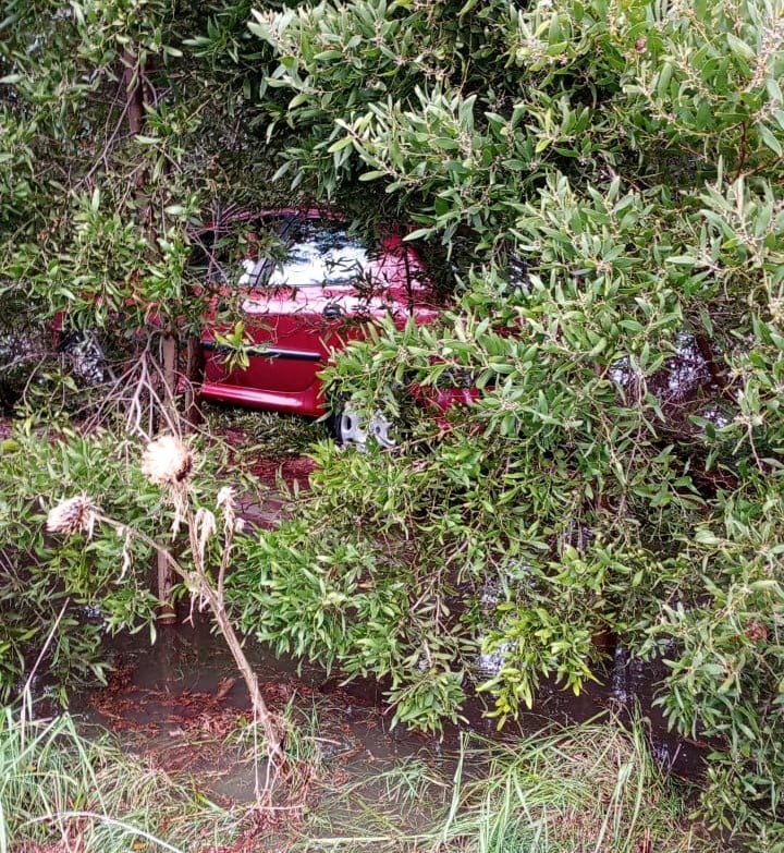 Despiste sin heridos en Ruta 75: auto terminó entre las plantas (audio)