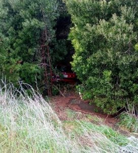 Despiste sin heridos en Ruta 75: auto terminó entre las plantas (audio)