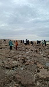 Estudiantes de la Escuela Secundaria Nº10 visitaron la Reserva Natural de Claromecó