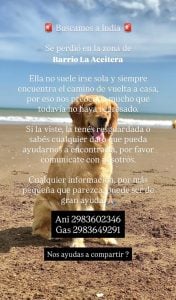 Buscan a India. Se perdió este martes por la mañana