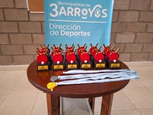 Se jugó con éxito el Primer Abierto de Ping Pong en Tres Arroyos