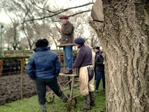 Buen remate en San Cayetano de La Agrícola Ganadera