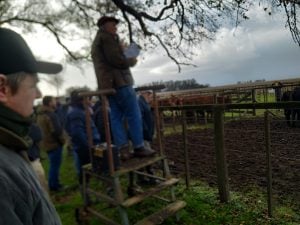 Buen remate en San Cayetano de La Agrícola Ganadera