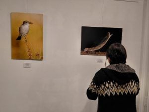 Mulazzi: Inauguraron la muestra “Latidos de la Tierra”