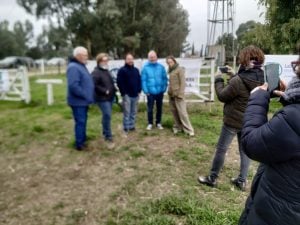 (audio)Buenos valores para los Angus en el remate de La Agrícola Ganadera